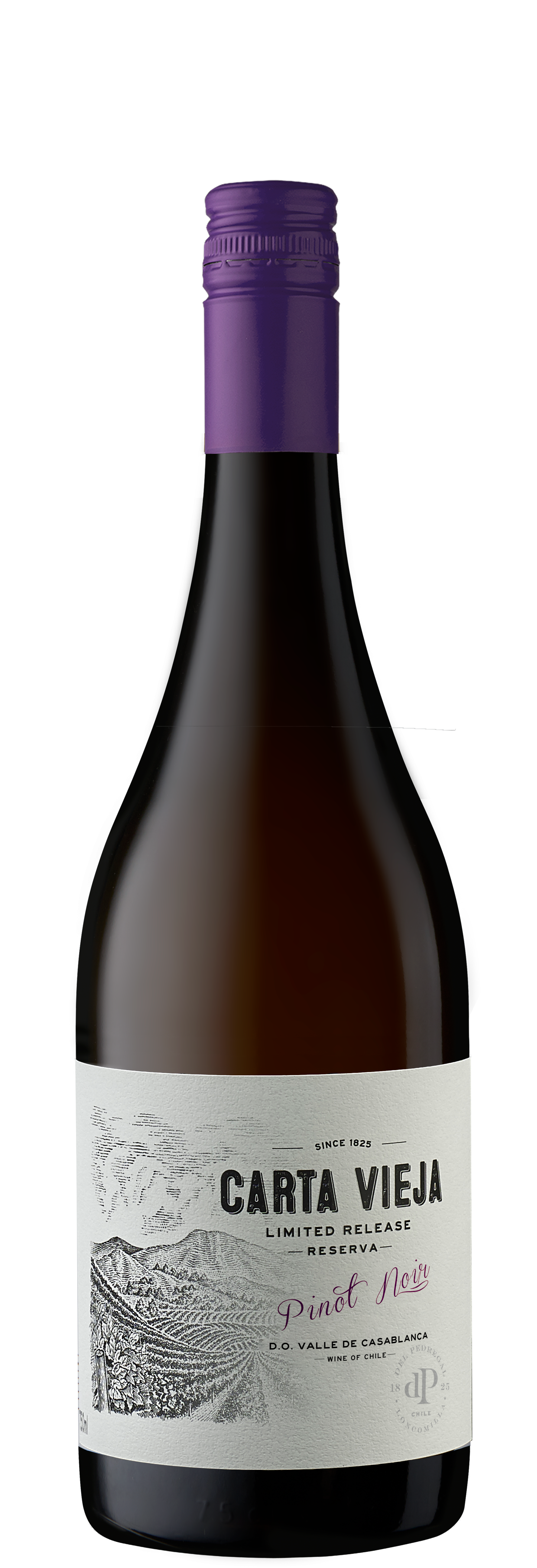 botella
